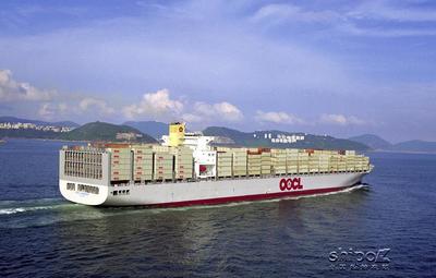 提供青島到奧蘭海運整箱服務 國際物流貨運代理(圖)