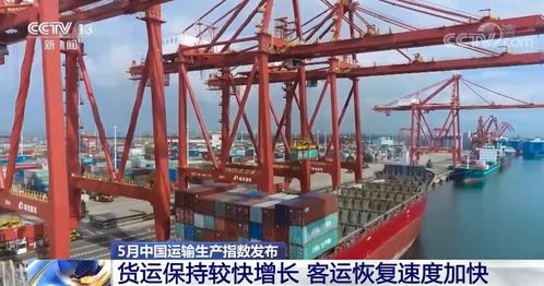 5月中國運輸生產指數發布 貨運保持較快增長 客運恢復速度加快