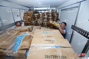 江蘇南通農副產品物流中心4萬噸冷庫倉儲為市區(qū)農產品保供穩(wěn)價