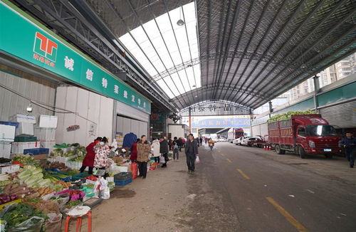 西部欣橋農(nóng)產(chǎn)品物流中心供應(yīng)忙 今年春節(jié)西安 菜籃子 穩(wěn)定充足