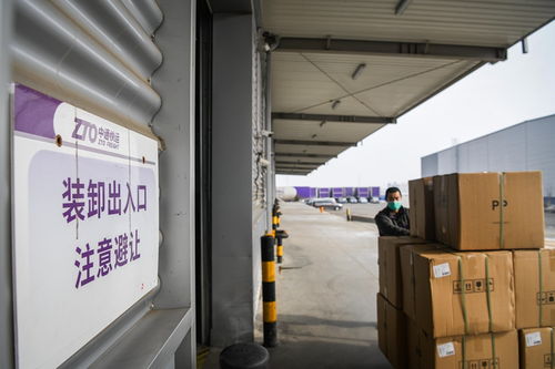 哈爾濱 重點(diǎn)物流企業(yè)復(fù)工率超90